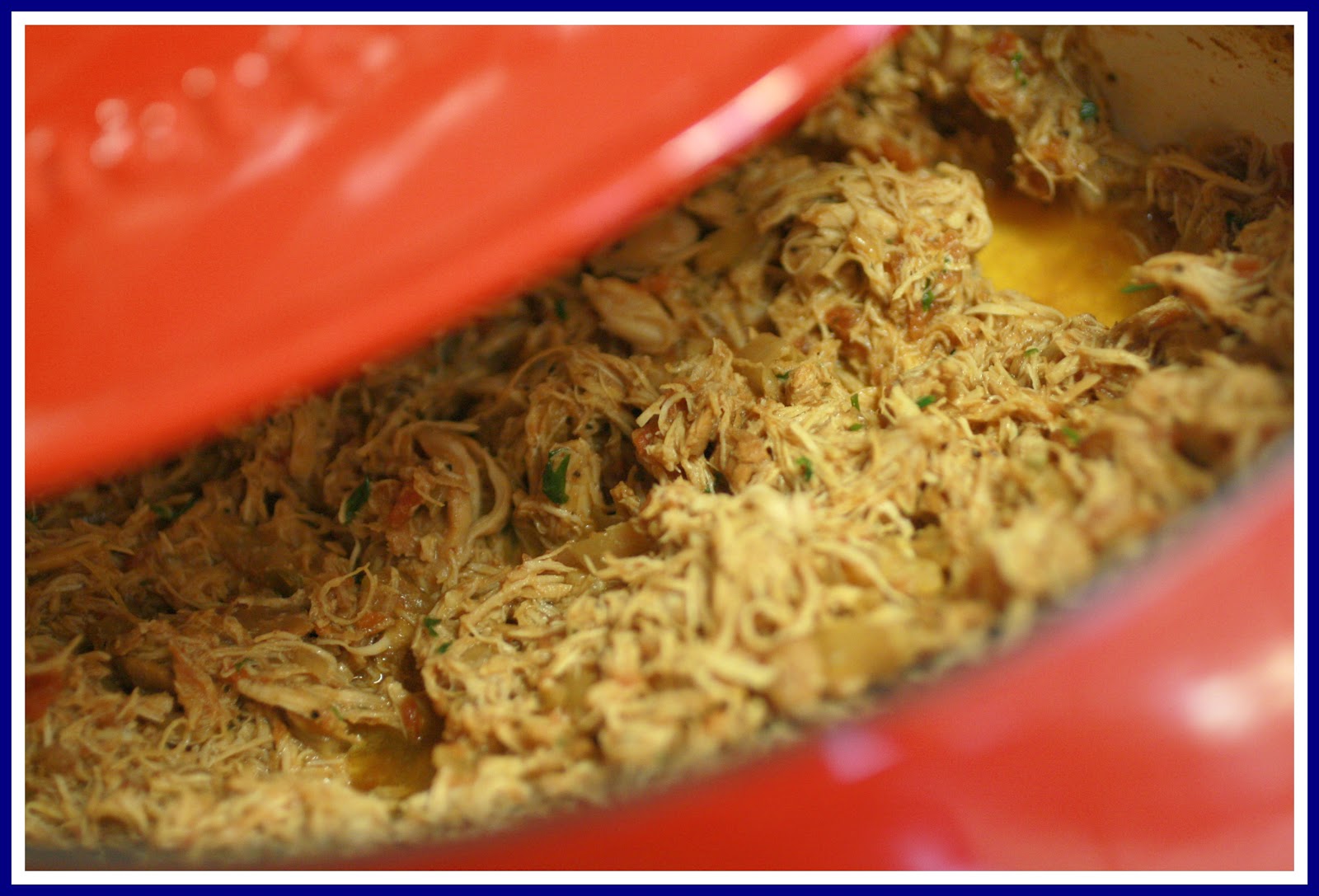 Dutch Oven Chicken Thighs