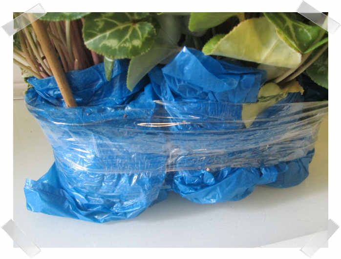 Gardening Express Review