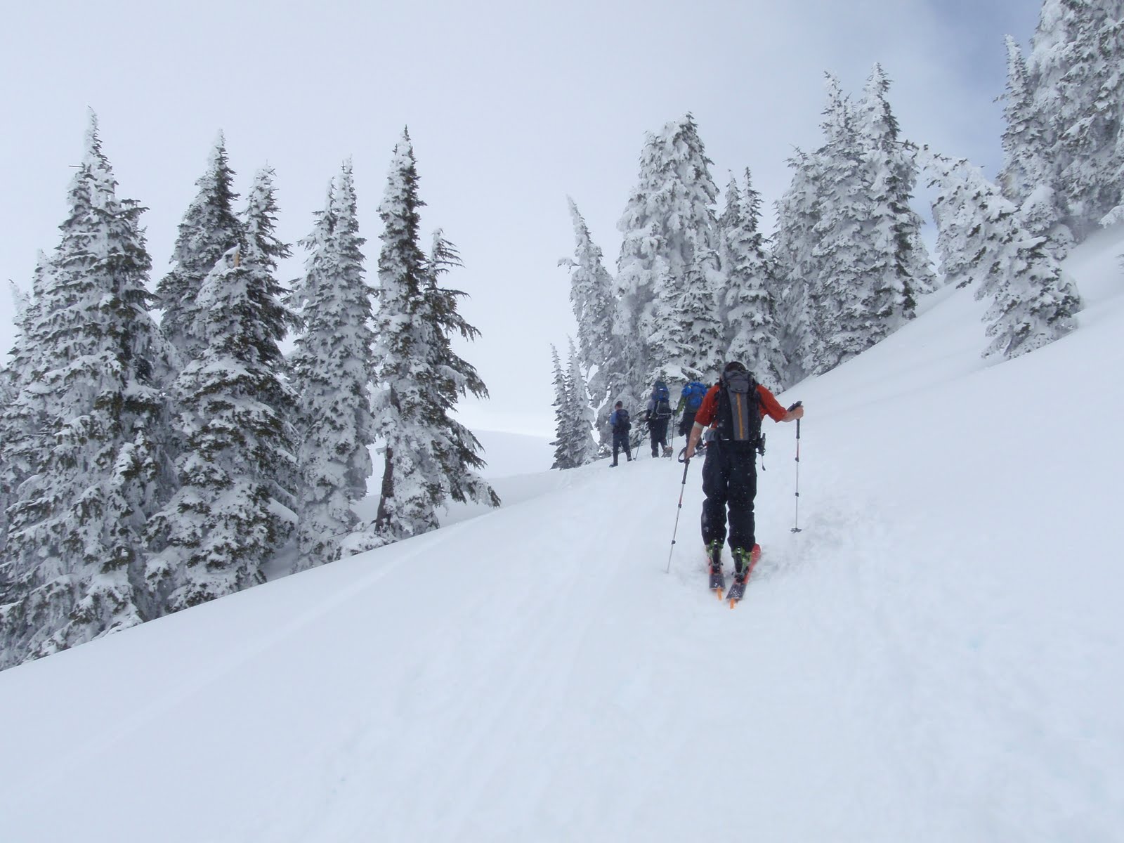 Blunoz Random Ramblings Snowshoeing on Mount Rainier