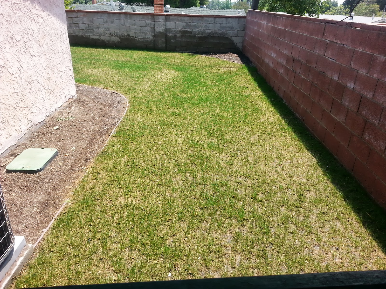 SOUTHERN CALIFORNIA PEARL'S PREMIUM GRASS SEED