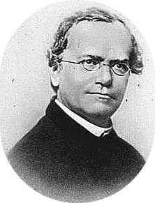 gregor mendel for kids essay Gregor the overlander gregor soon learns of a prophecy called the prophecy of gray according to the prophecy, ten underlanders and two overlanders. gregor mendel for kids essay Gregor the overlander gregor soon learns of a prophecy called the prophecy of gray according to the prophecy, ten underlanders and two overlanders.