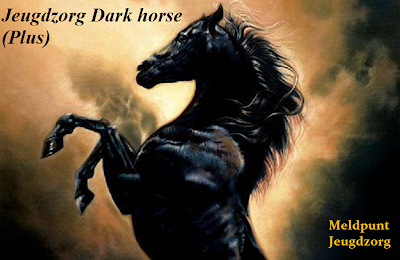 Jeugdzorg Dark horse (plus)