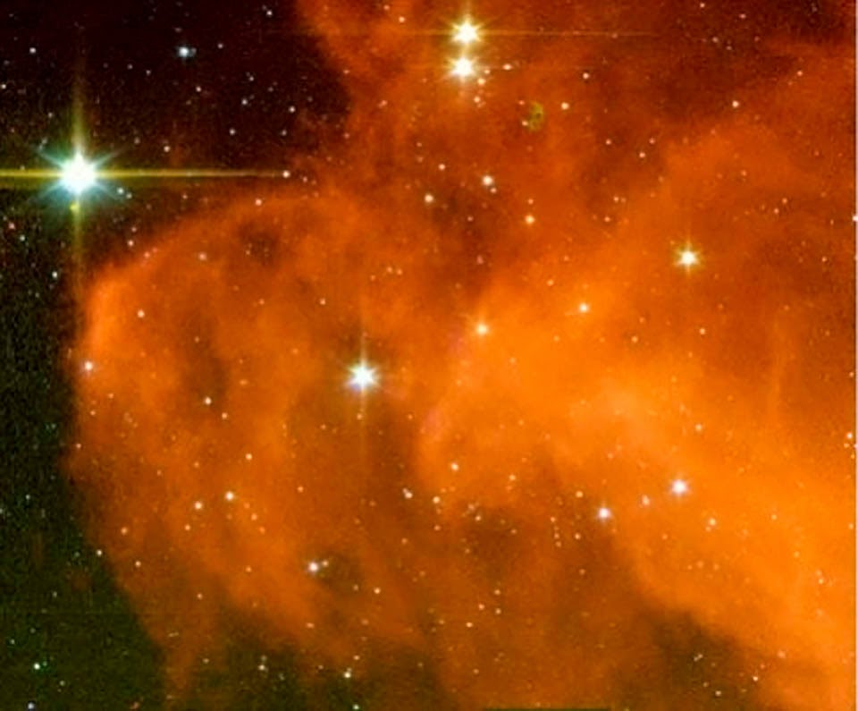 Baby Stars Brewing in the Witch Head Nebula