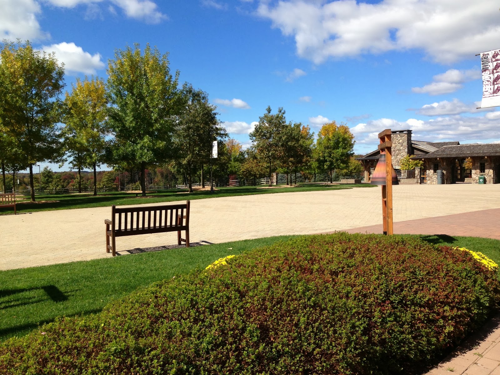 Bethel New York Solo Mom Takes FlightSolo Mom Takes Flight