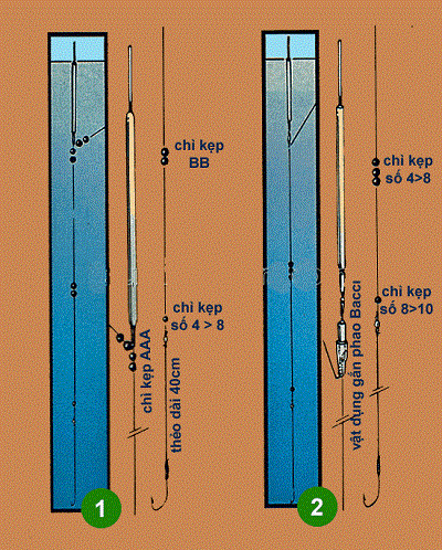 Cách ráp đường câu khi câu Waggler Cách ráp đường câu khi câu Waggler