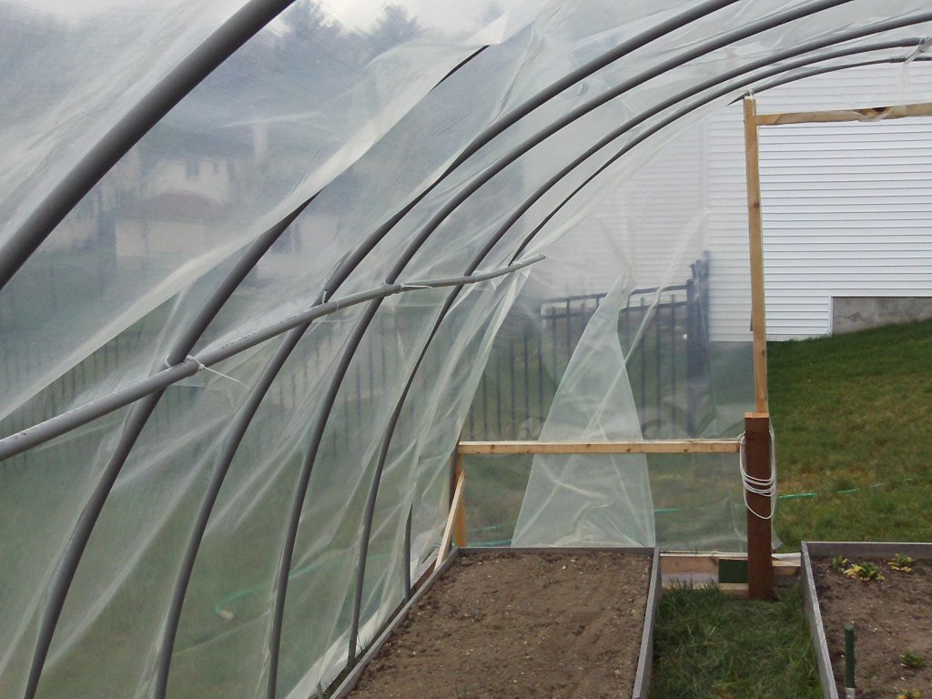 Dave's garden Put up the greenhouse