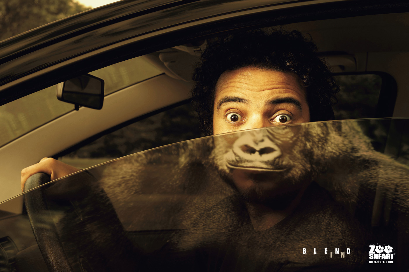 20 Funny and Creative Ads Using Animals Amazing Creatures