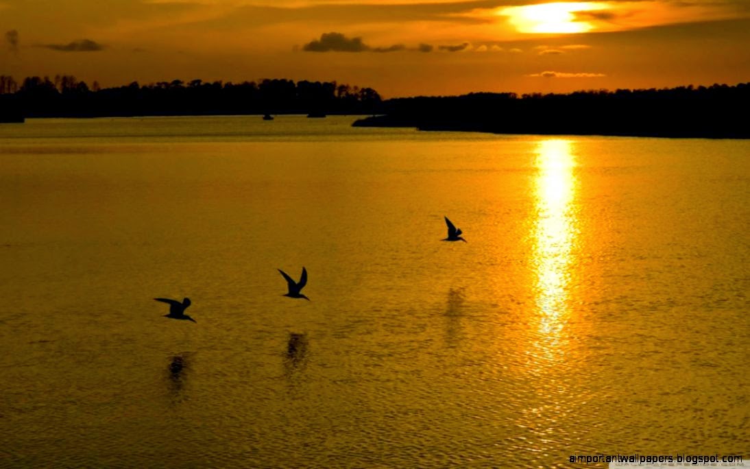 Golden Sunset Lake HD desktop wallpaper Widescreen High Golden Sunset Lake HD desktop wallpaper Widescreen High