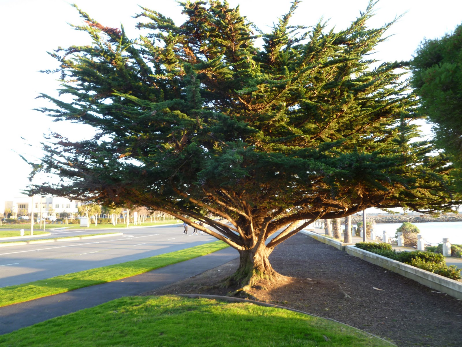 By A Thread EXPERIENCING THE NATURAL WORLD