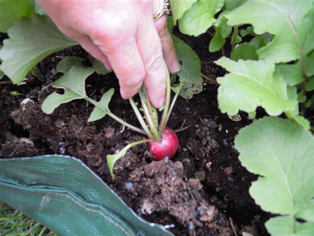 Life's Adventures: May 2011