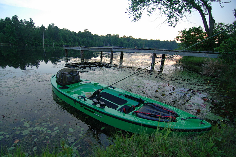 First Night In The Diablo Chupacabra