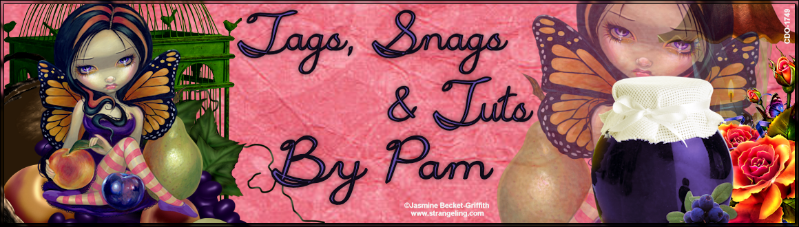 Tags, Snags & Tuts by Pam