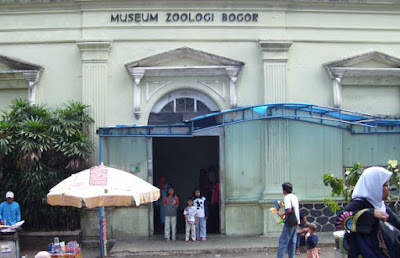 museum zoologi bogor tempat wisata di bogor