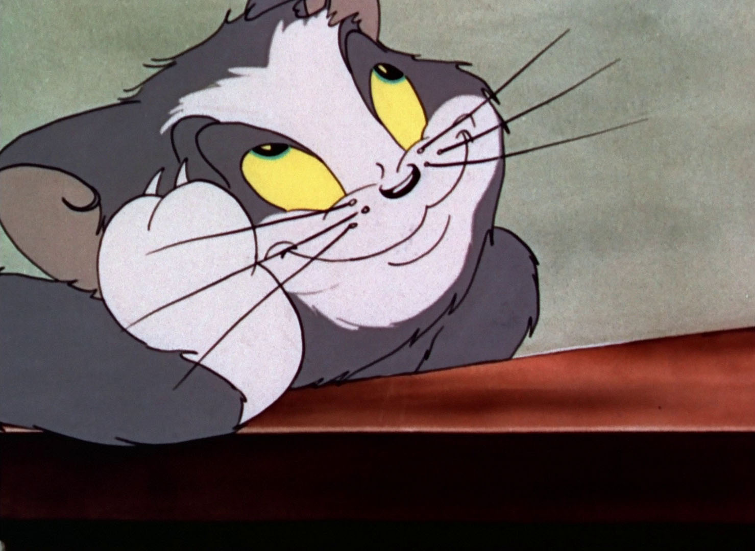 Tom & Jerry Pictures 