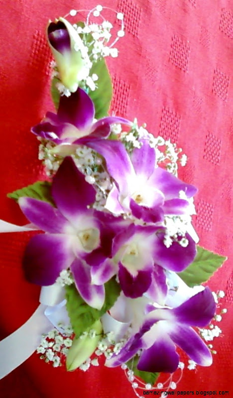 Schneiders Fl Design Casket Outlet Wedding Bouquets Schneiders Fl Design Casket Outlet Wedding Bouquets