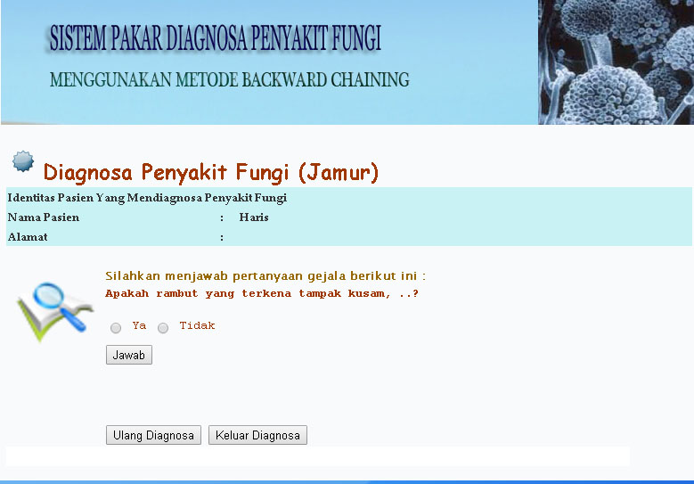 Piramida Skripsi Sistem Pakar Diagnosa Penyakit Fungi Dengan Menggunakan Metode Backward Chaining Dengan Php Mysql