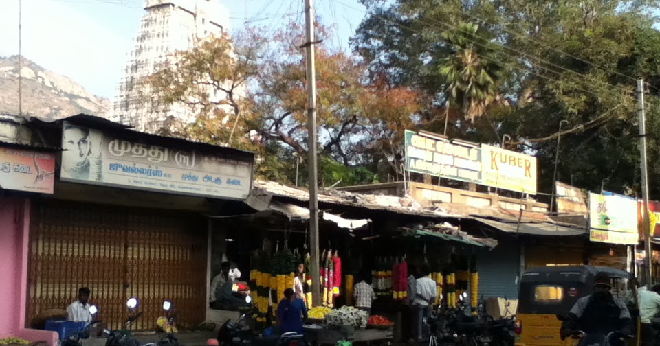 The Flowers Were There…