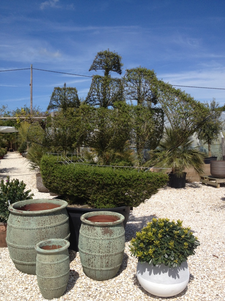 Best Garden Centres and Plant Nurseries near Hastings