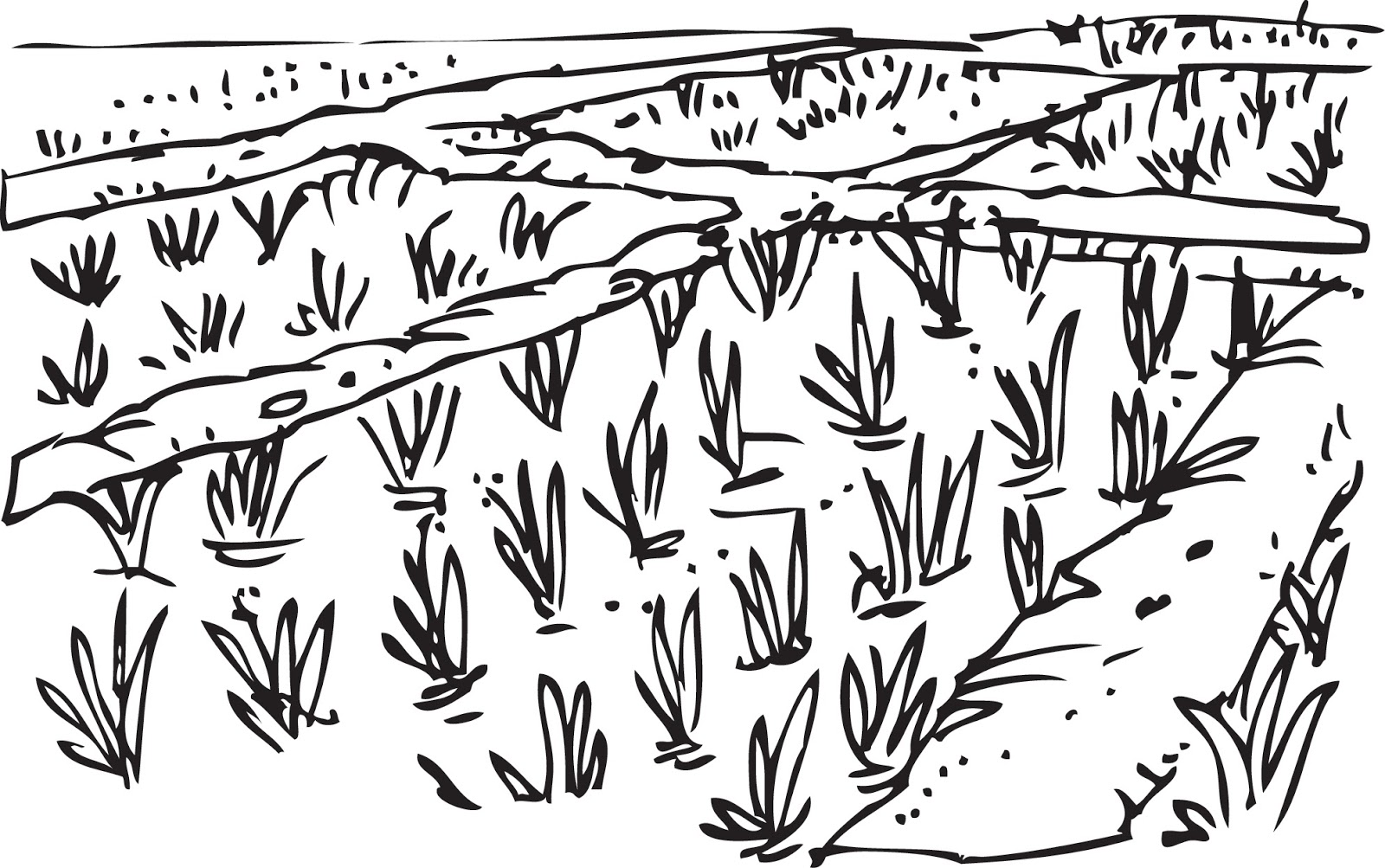 MysteryStudios104 House: Ilustrasi Hitam Putih 24jam