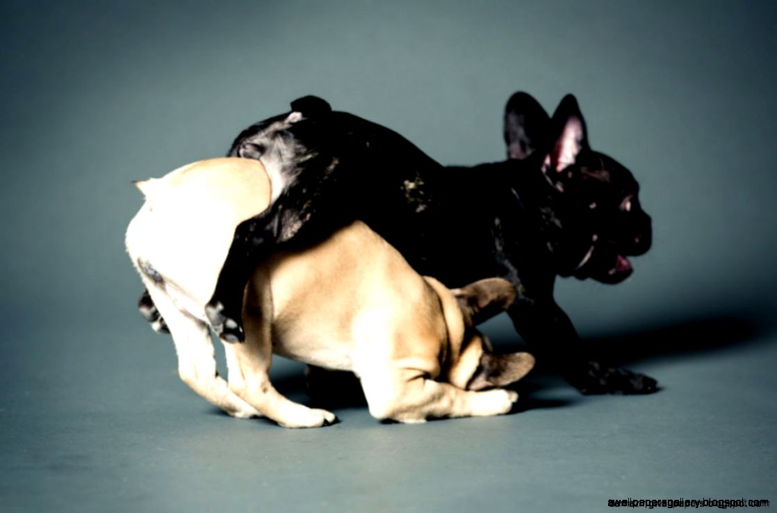 Sweet Gif Tumblr Amazing Wallpapers Sweet Gif Tumblr Amazing Wallpapers