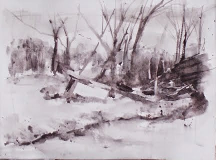 When a Tree Falls in the Wood - Value Study