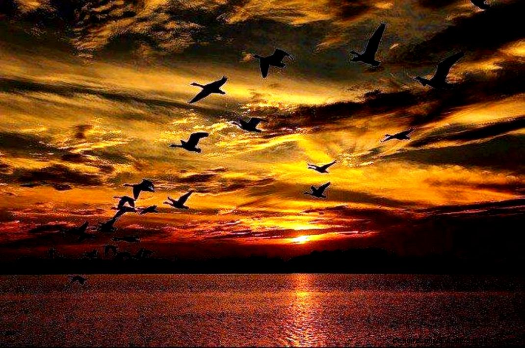 Evening Sky Background Evening Sky Background