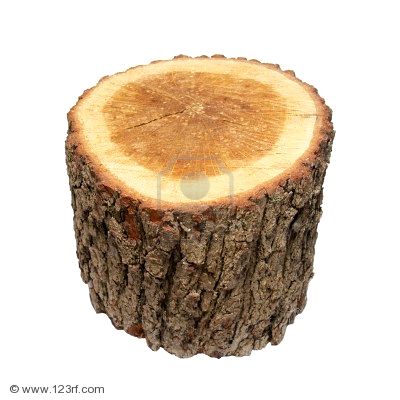 4272550-tronco-de-madera-aisladas-en-blanco%255B1%255D.jpg