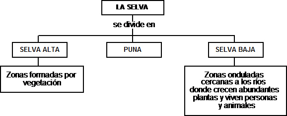 CuentosDeDonCoco.Com: MAPA CONCEPTUAL DE LA SELVA