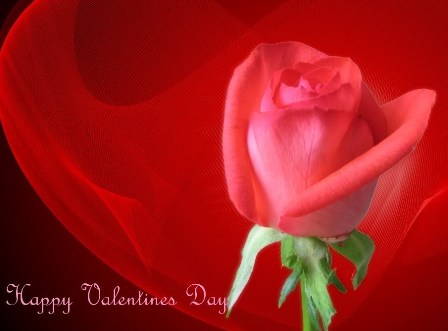 Free Beautiful Photos collection: Free Beautiful Valentines Day Red