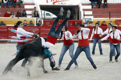 spanish ox fight