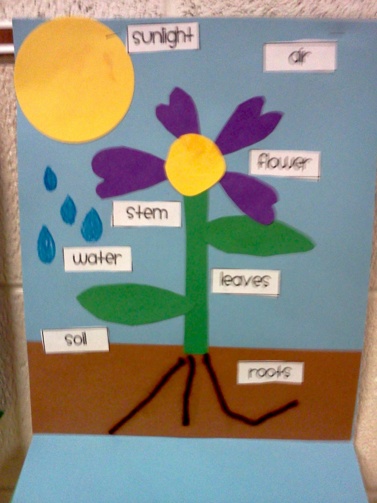 What We�ve Been Up To Swimming Into Second