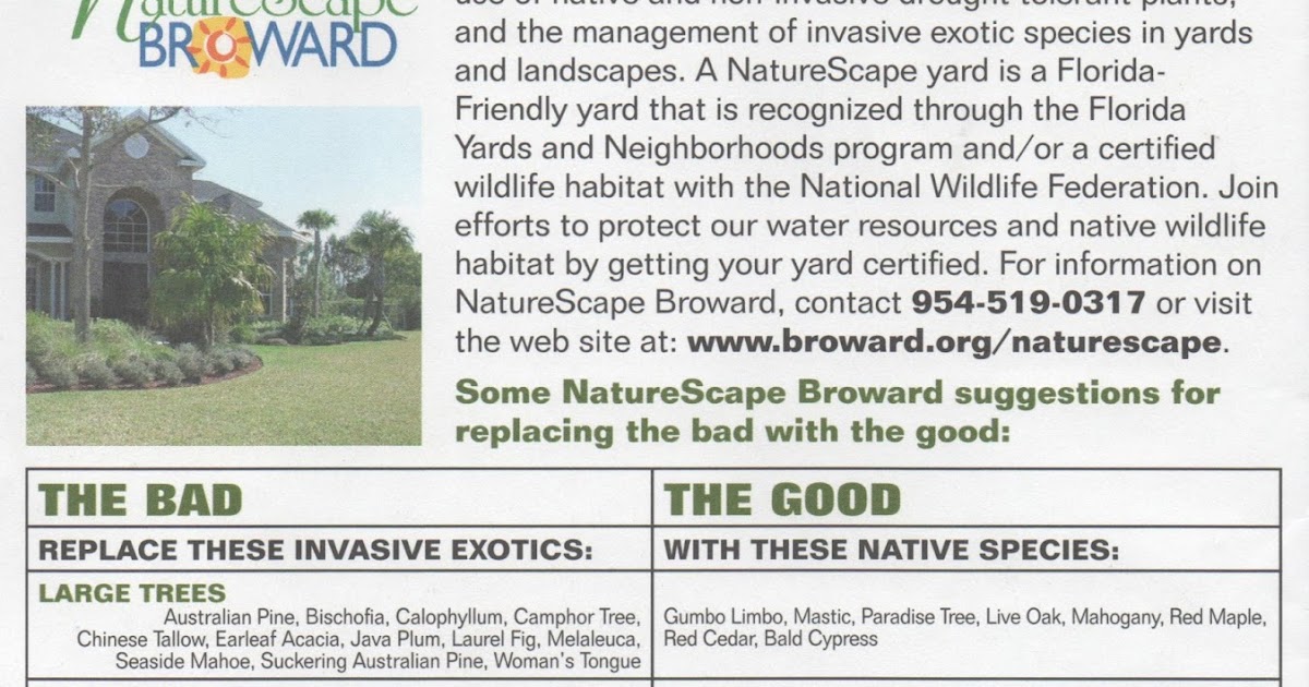 Gardening South Florida Style The Good, The Bad and The Exotic