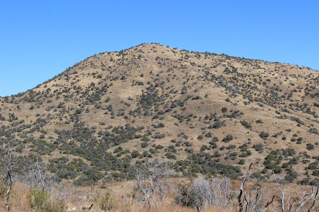 Hunting%2Bfor%2BCoues%2BWhitetail%2Bin%2BMexico%2Bwith%2Bguides%2BJay%2BScott%2Band%2BDarr%2BColburn%2B32.JPG