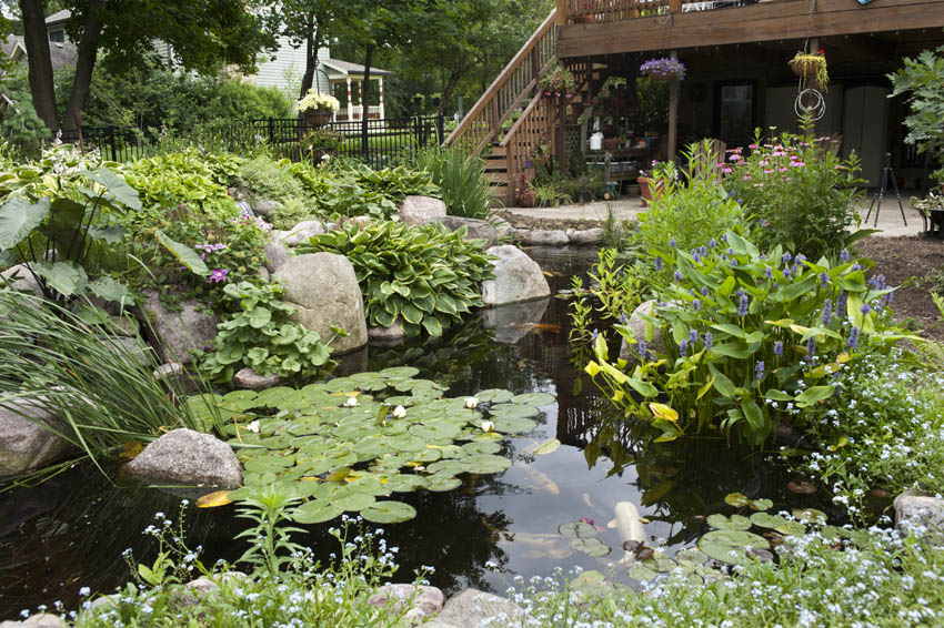 Naturalistic-Koi-Pond.jpg