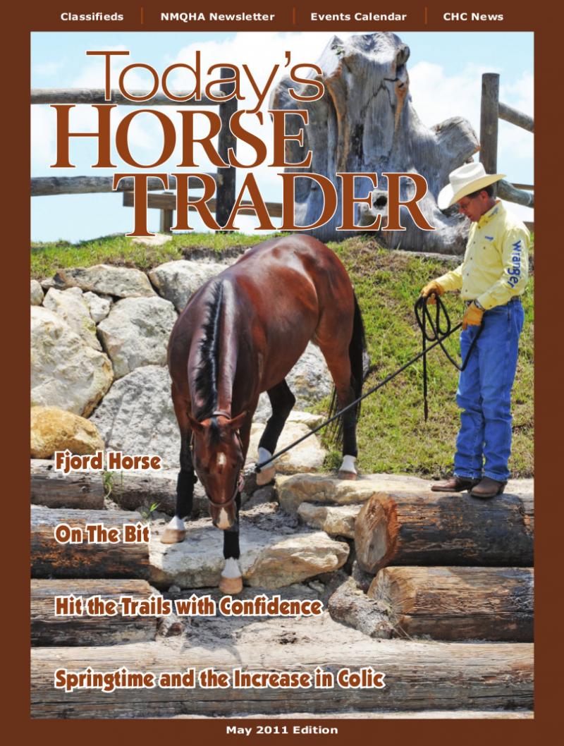 Riding & Writing... Mark H. Bolender, Equestrian