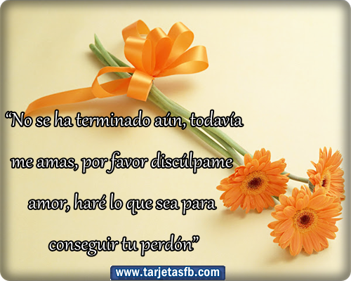 tarjetas de flores