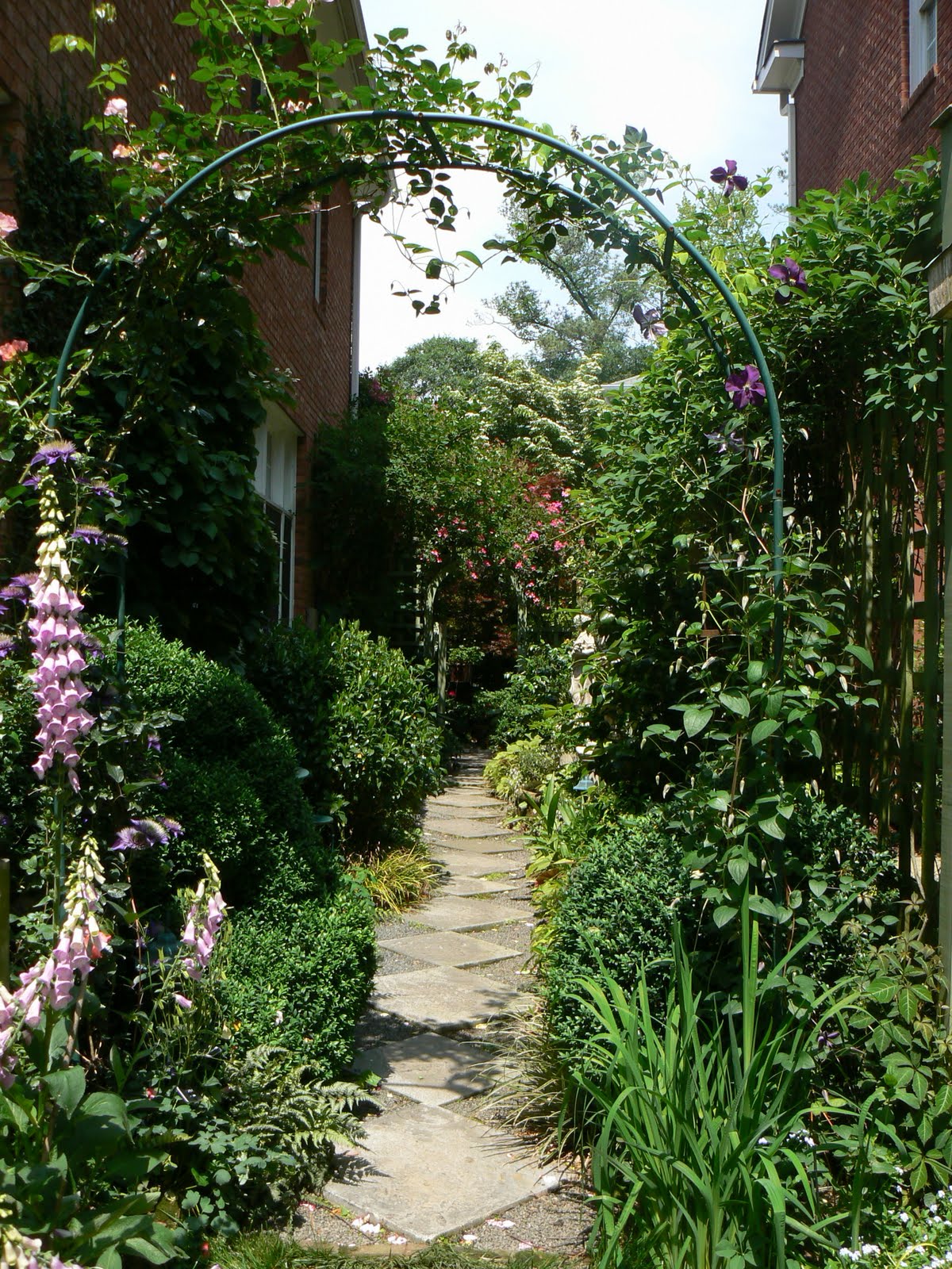 Large Boxwood Stock Photos Large Boxwood Stock Images Page 2