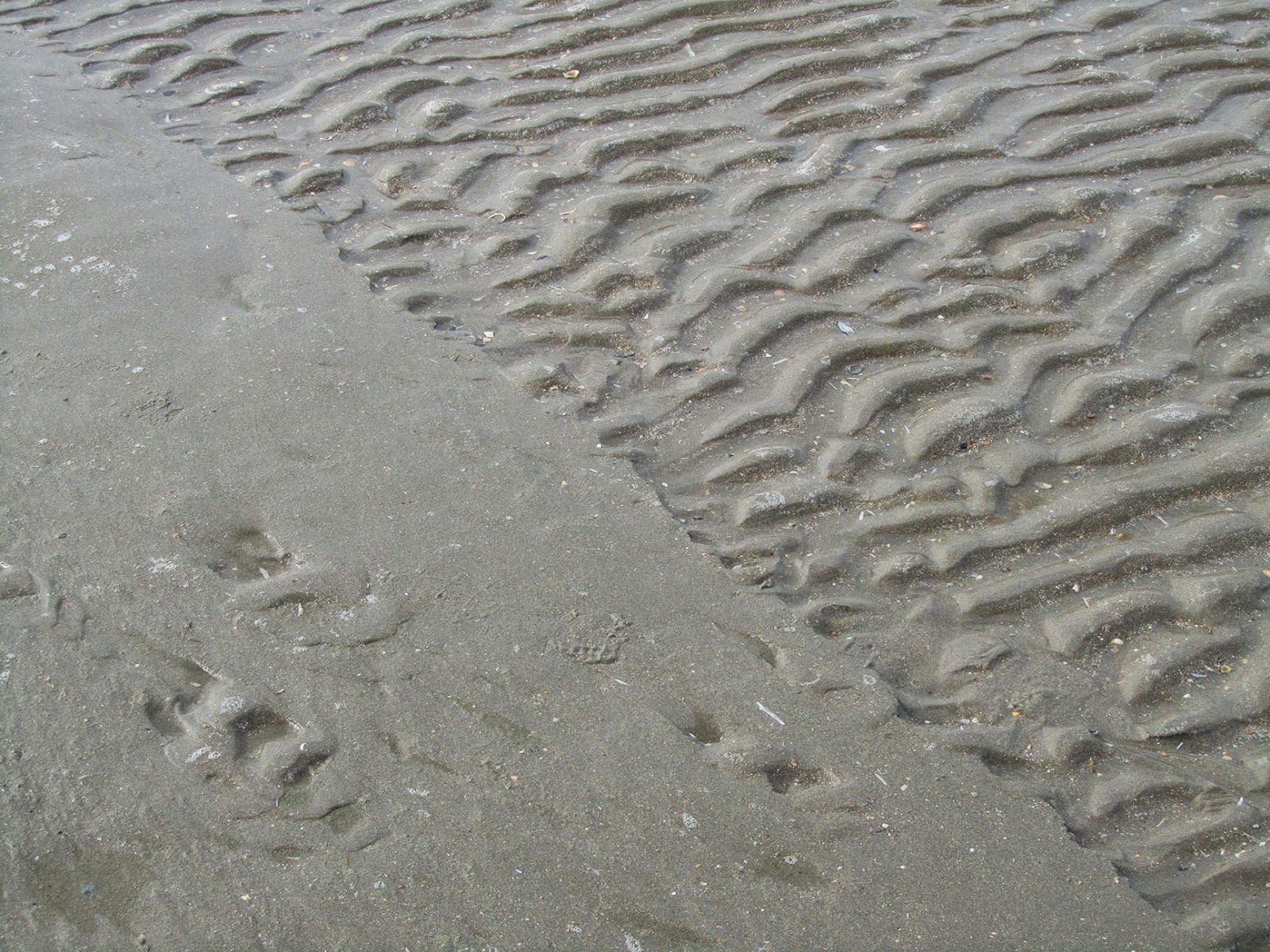 diagonal line in sand