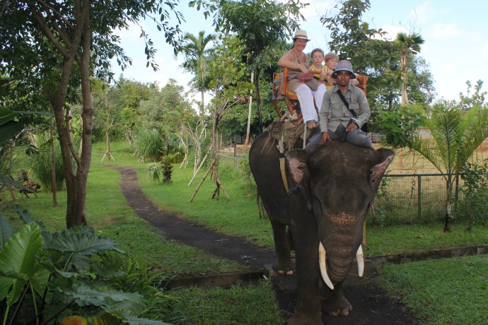 Elephant Rides in Bali