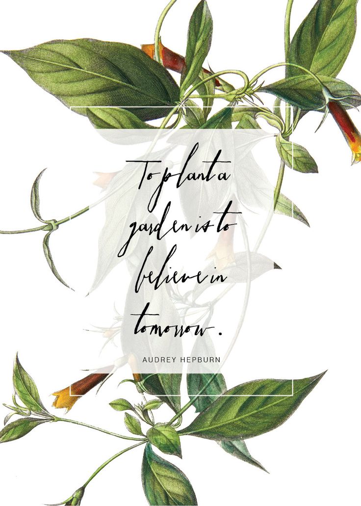 Stuff That Brings Me Joy: Botanical Quotes | THE JOY BLOG