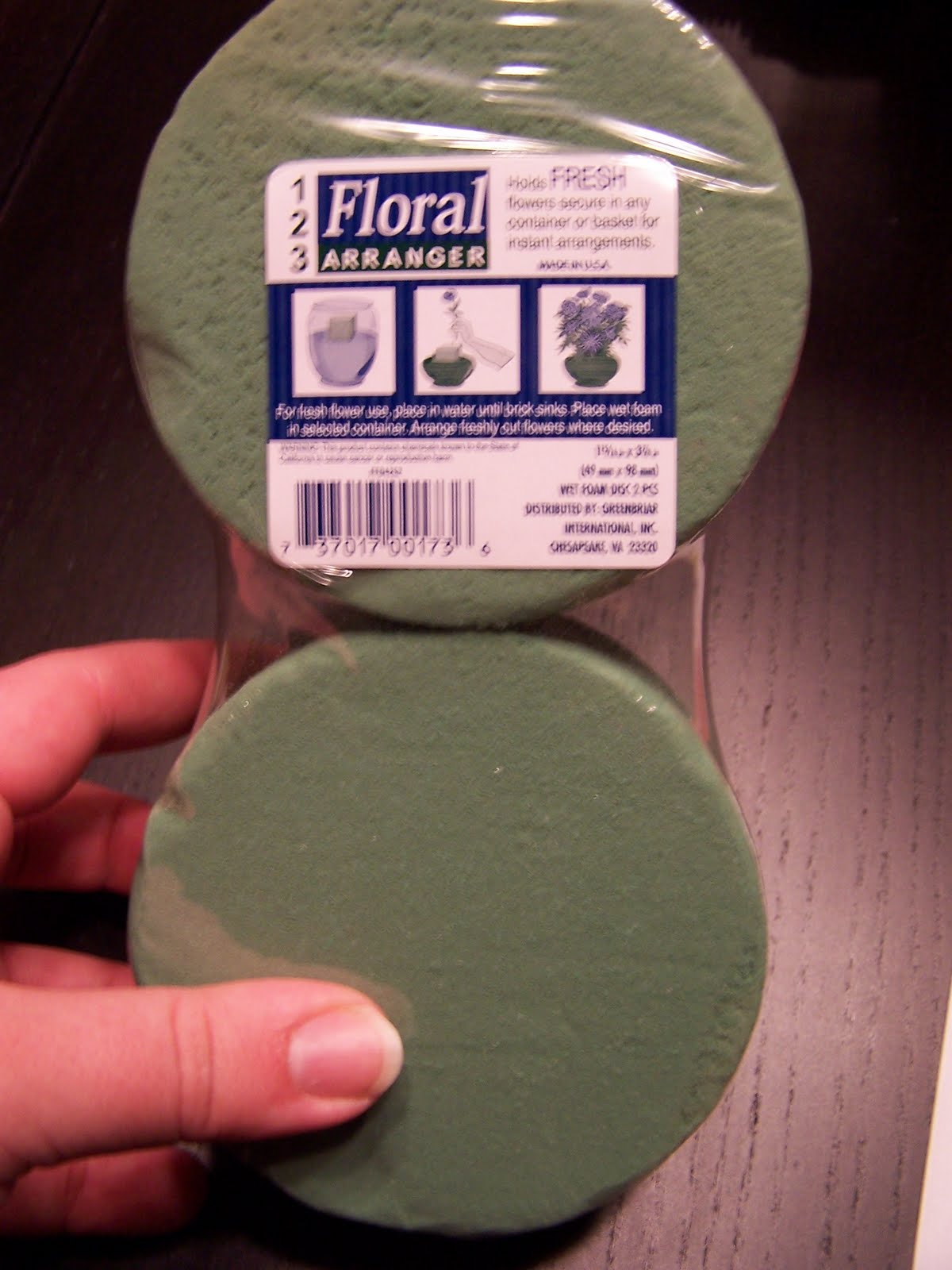 Living Moss Ball Tutorial Creative Green Living