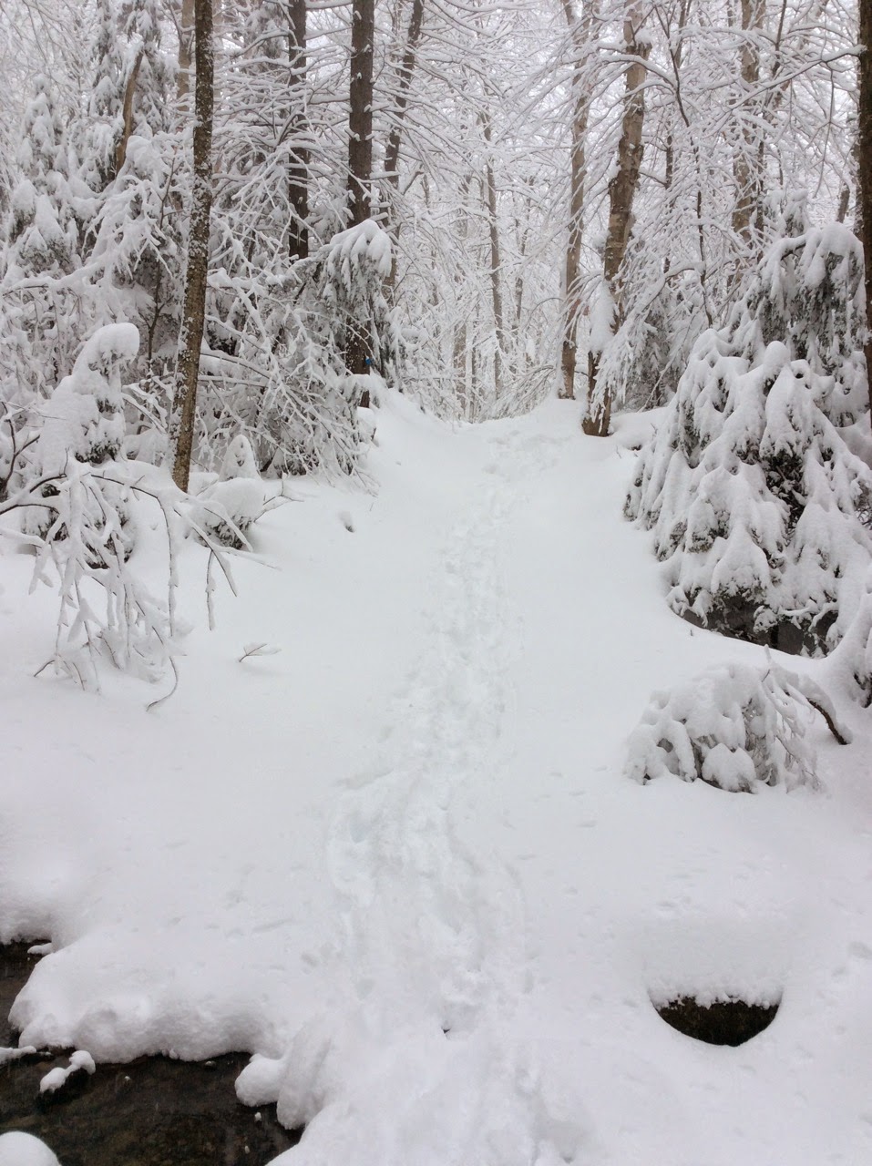 Plein Air Sutton Sentier Sous La Neige