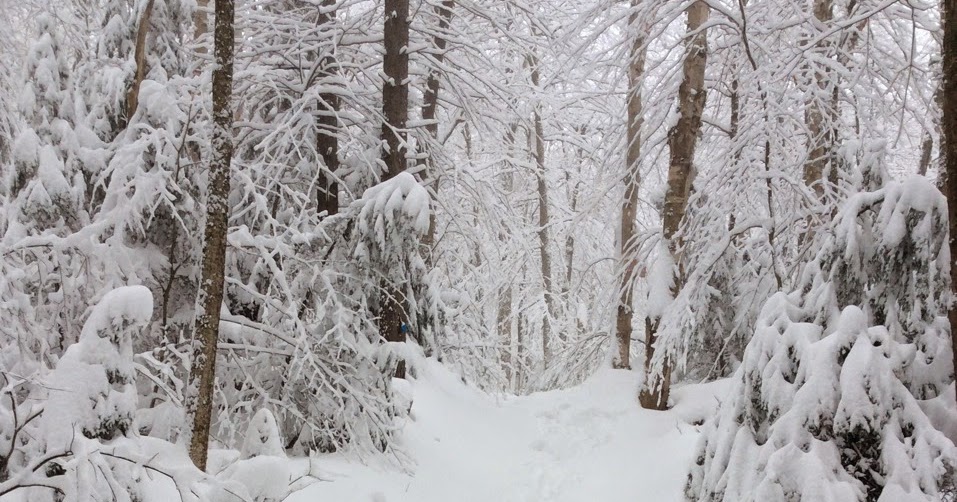 Plein Air Sutton Sentier Sous La Neige