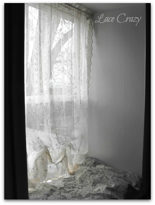 Lace Crazy Raised Panels in Deep Set Windows...