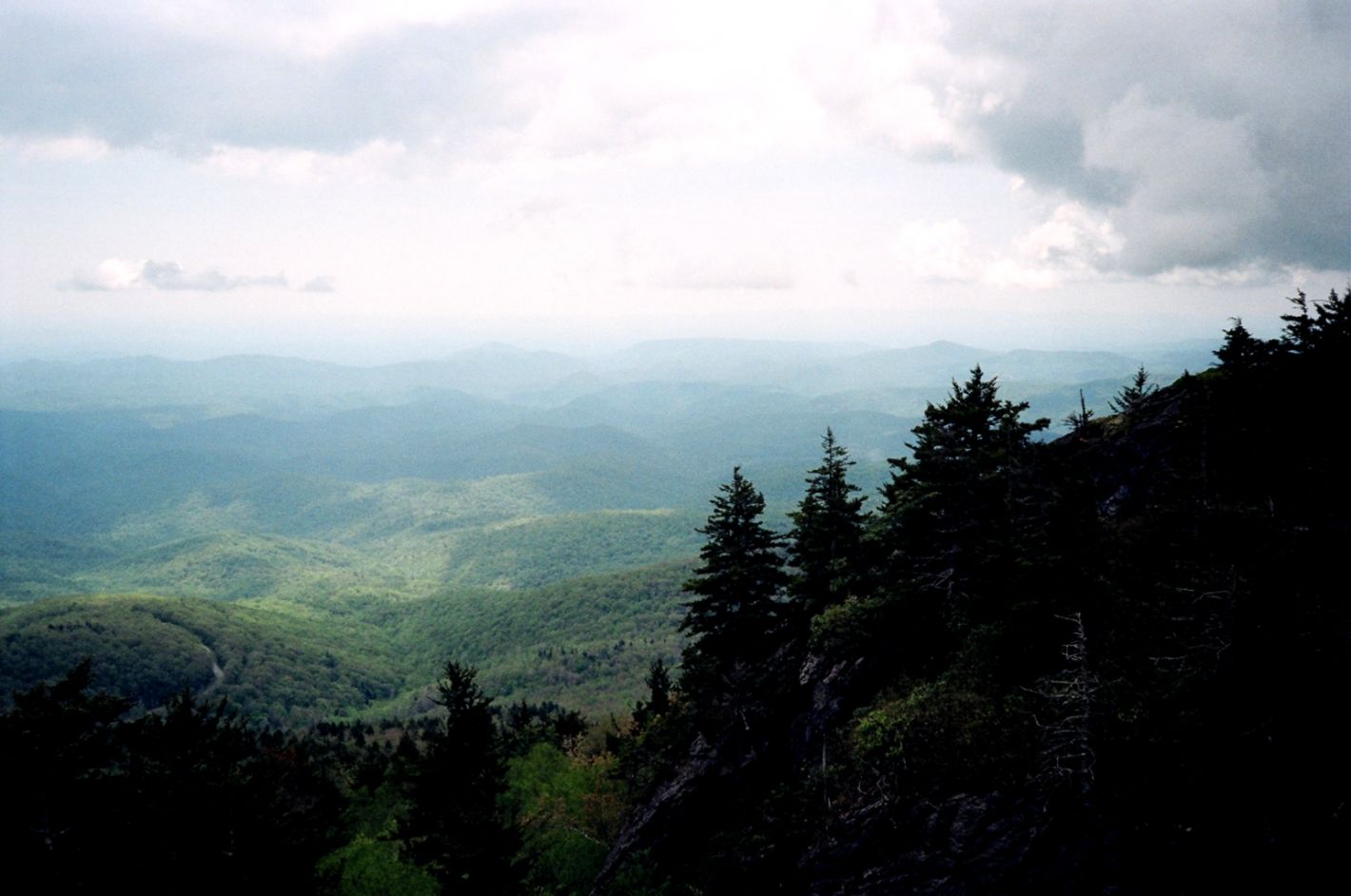 TRANSILLUMINATED — Sweetie trapped under a laundry bin she TRANSILLUMINATED — Sweetie trapped under a laundry bin she