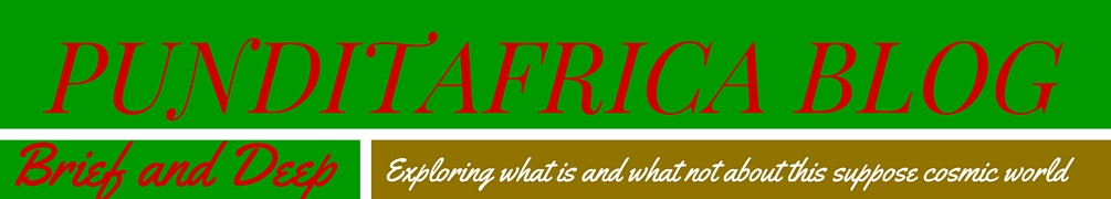 PunditAfrica Blog
