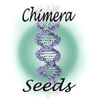 chimera seeds