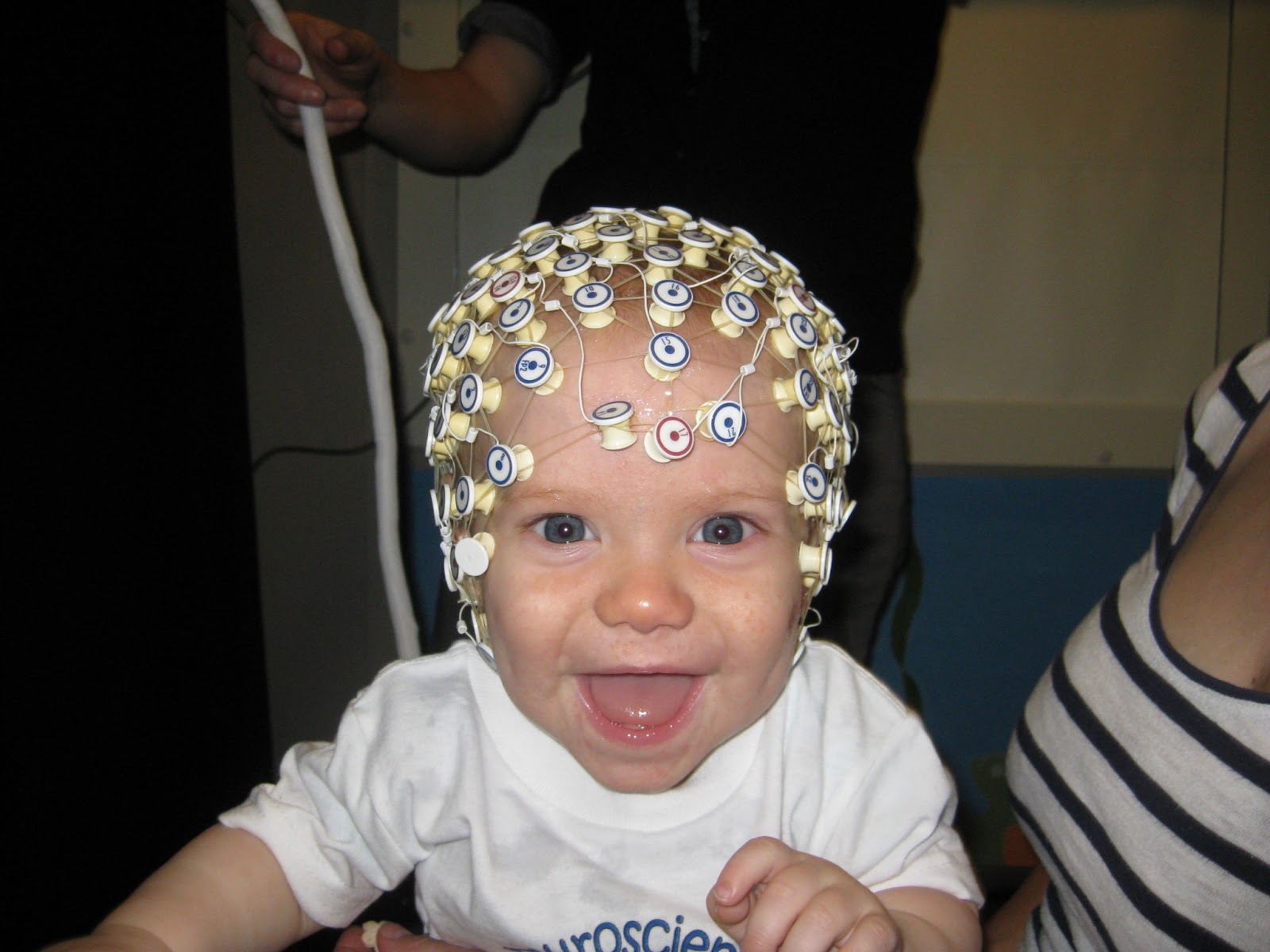 what is eeg what is eeg