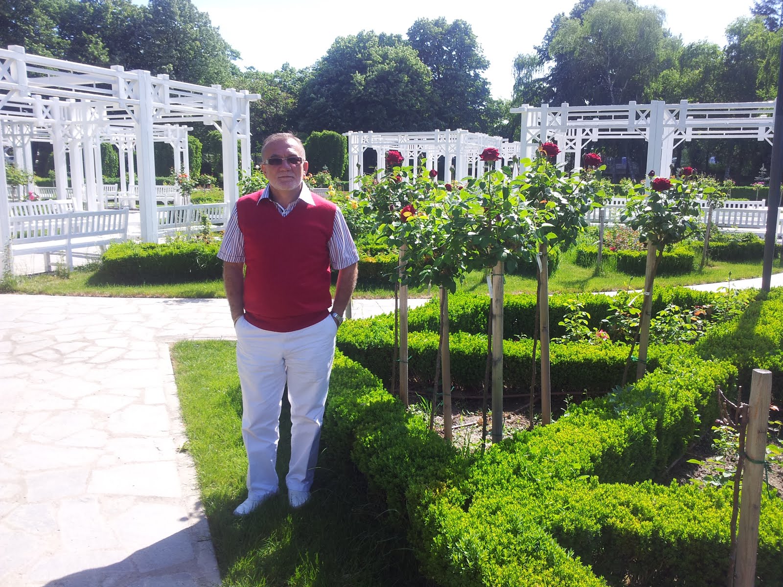 Le jardin des Roses_Timisoara