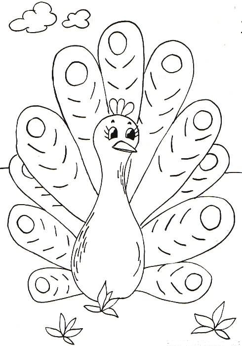 Dibujos para imprimir y colorear: Pavos para colorear